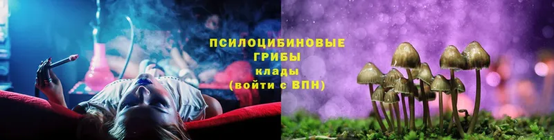 Галлюциногенные грибы MAGIC MUSHROOMS  наркота  Касли 